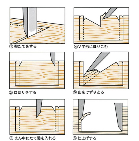 √100以上 ノミ の 使い方 115998